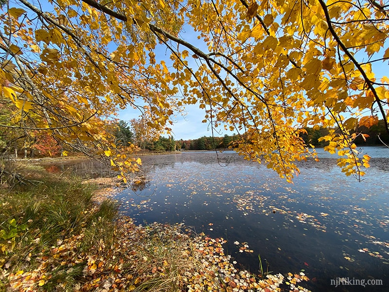 Stony Lake Loop | njHiking.com