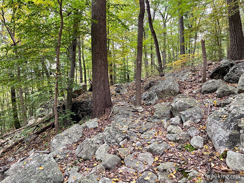 Skylands Manor – Ilgenstein Rock/Erskine Lookout | njHiking.com