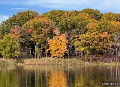 New Jersey Fall Foliage | njHiking.com