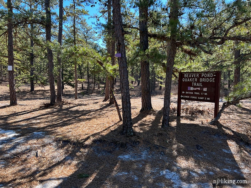 Atsion to Quaker Bridge Loop – Wharton State Forest | njHiking.com