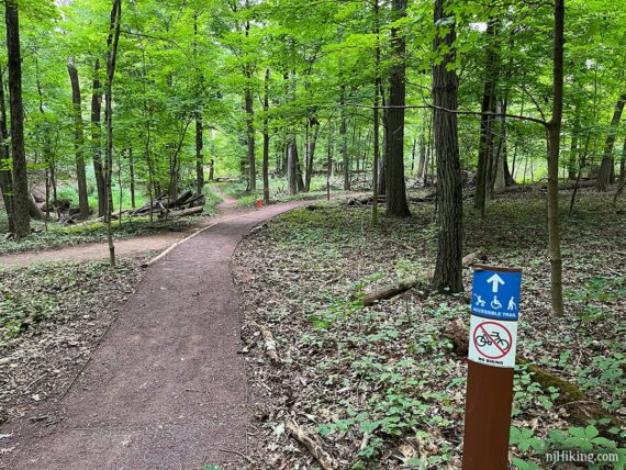 Rutgers Eco accessible trail.