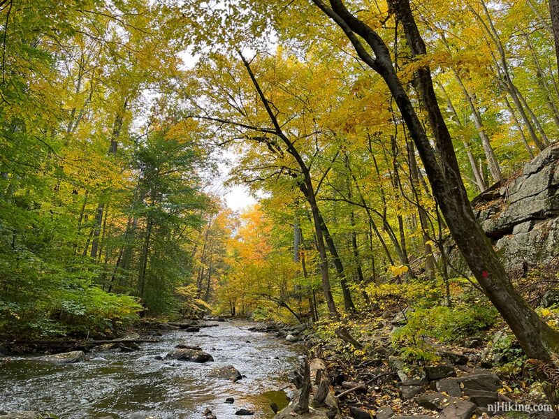 New Jersey Fall Foliage | njHiking.com