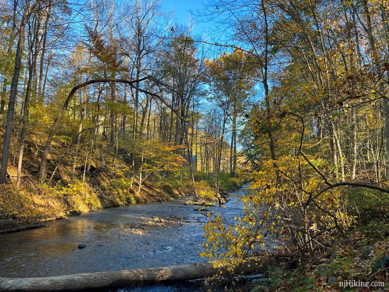 New Jersey Fall Foliage 