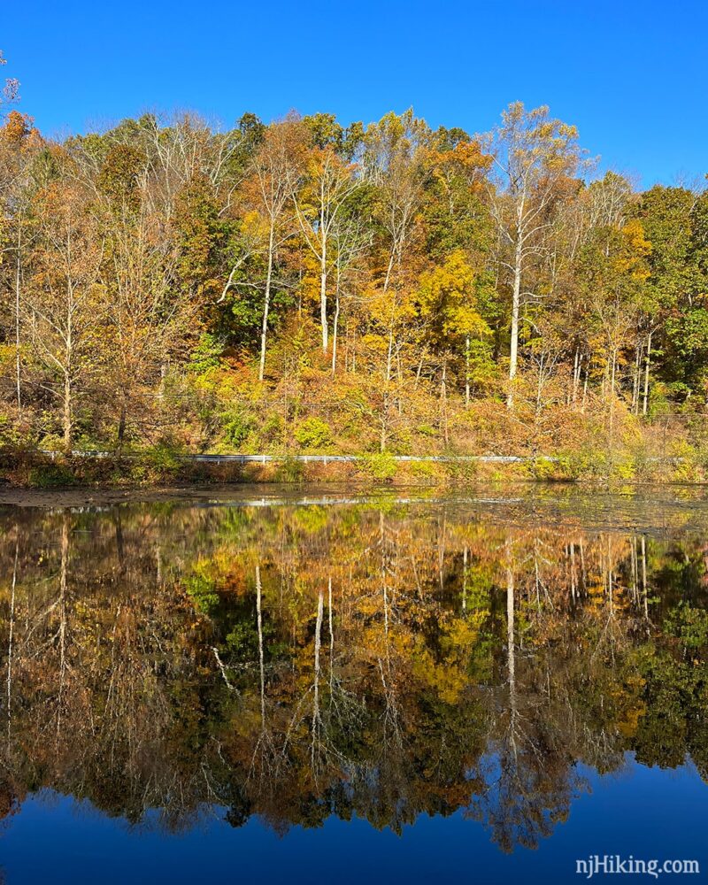 New Jersey Fall Foliage 