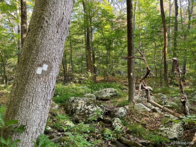 Four Birds Trail – Splitrock Reservoir | njHiking.com