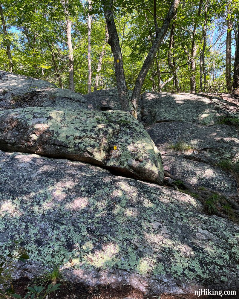 Surprise Lake Loop via State Line Trail | njHiking.com