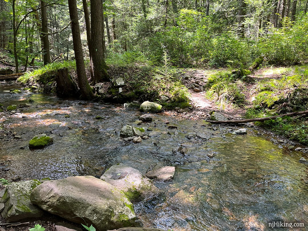 Mt. Tammany and Sunfish Pond | njHiking.com