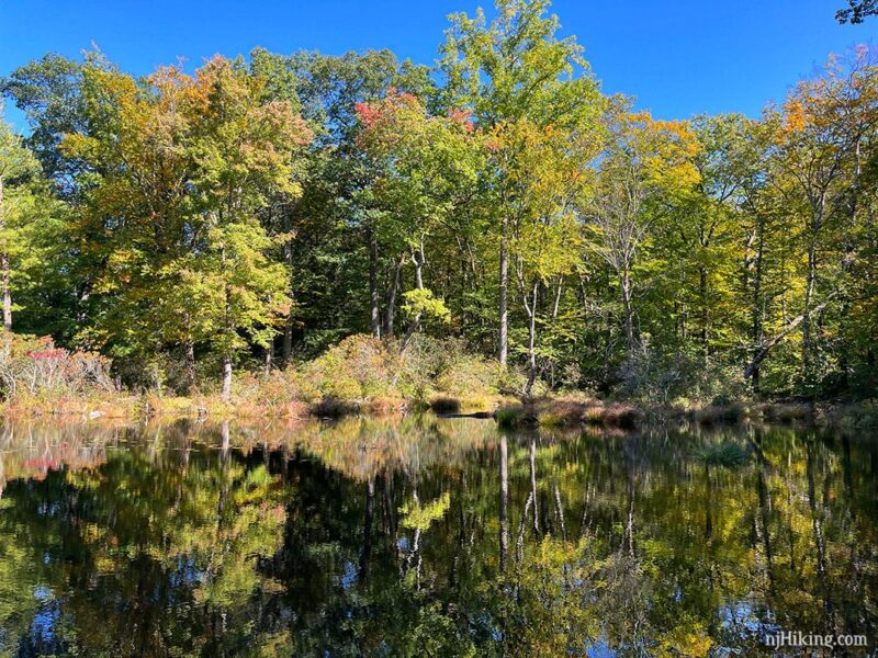 New Jersey Fall Foliage 