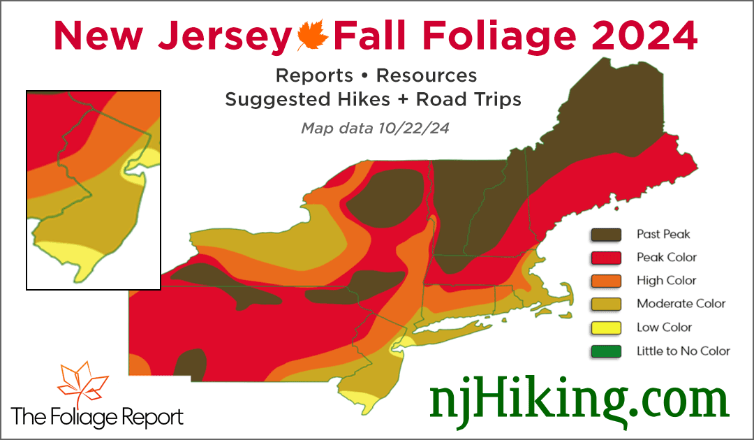 New Jersey Fall Foliage 2024 map graphic for 10/22/24.