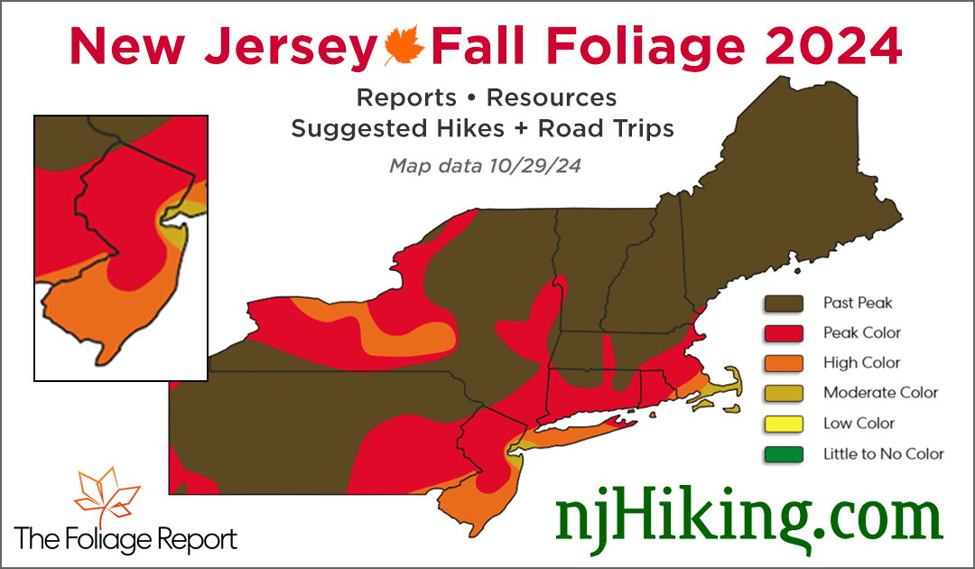 New Jersey Fall Foliage 2024 map graphic for 10/29/24.