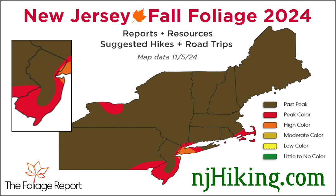 New Jersey Fall Foliage 2024 map graphic for 11/5/24.