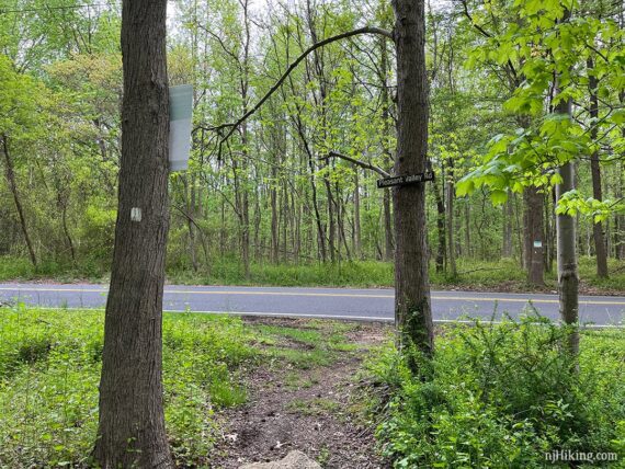 Trail crossing a road to continue.