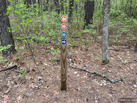 Round colored trail marker arrows on a wooden post.