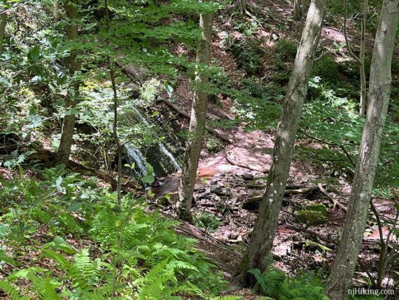 Laurel Falls seen below from the Garvey Springs trail.