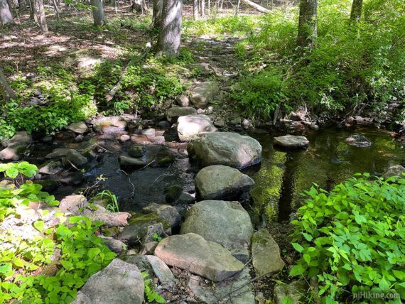 Large rocks placed in a row to cross a small stream but is dry.