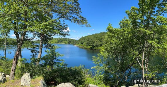 Sunfish Pond seen through trees.