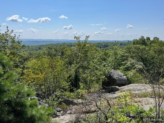 Viewpoint from a side trail.