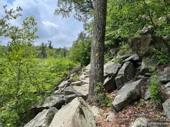 Dunning trail is very rocky at the edge of Green Pond.