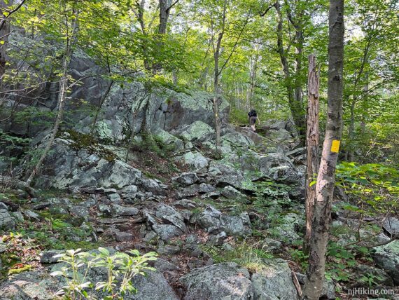 Hiker scrambling on a rocky trail.