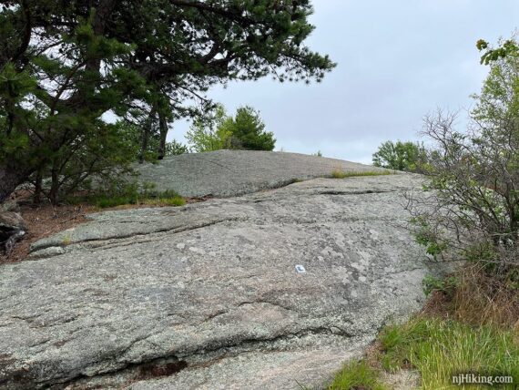 Lichen Trail heads over open rock slabs.