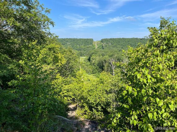 View of a pipeline cut through a forest.