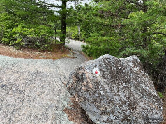 Red dot on white marker for the Ramapo Dunderberg trail painted on a boulder.