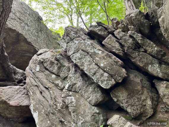 Close up of a rock wall to scramble up.