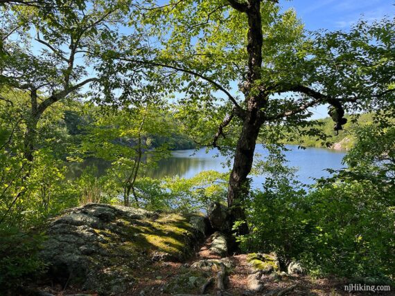 View of Terrace Pond from a side trail.