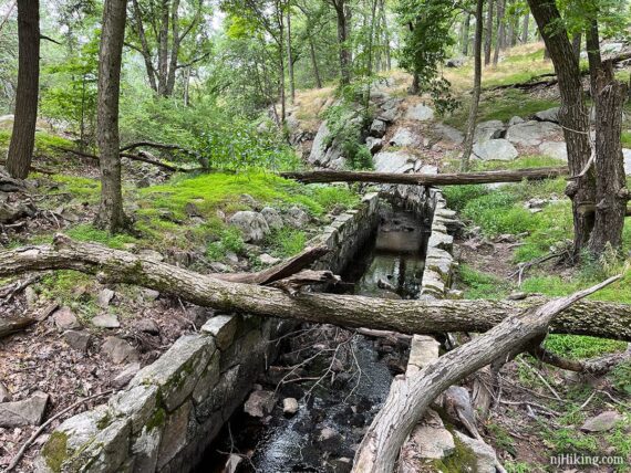 Stone embankments along a trail.