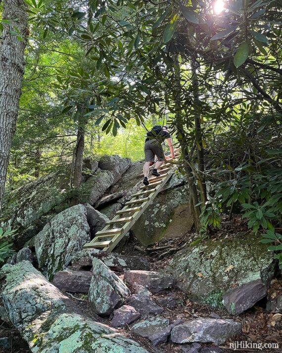 Hiker climbing a wooden ladder placed against a rock face.