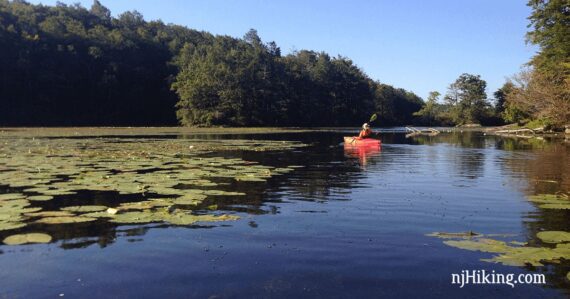 Kayaker on a flat lake covered with lily pads.