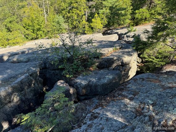 Cracks in an angled rock face.