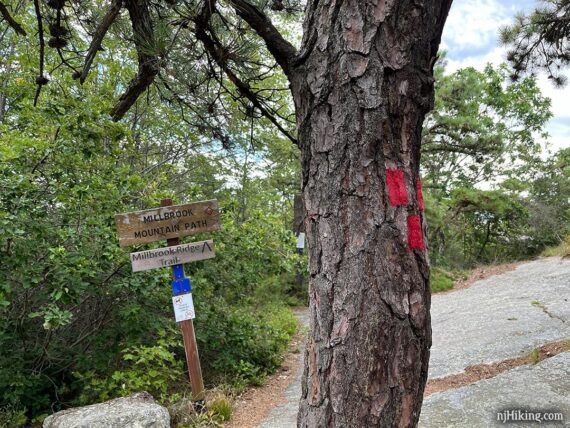 Signs at a trail intersection.