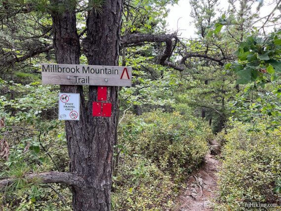 Millbrook Mountain Trail signs.