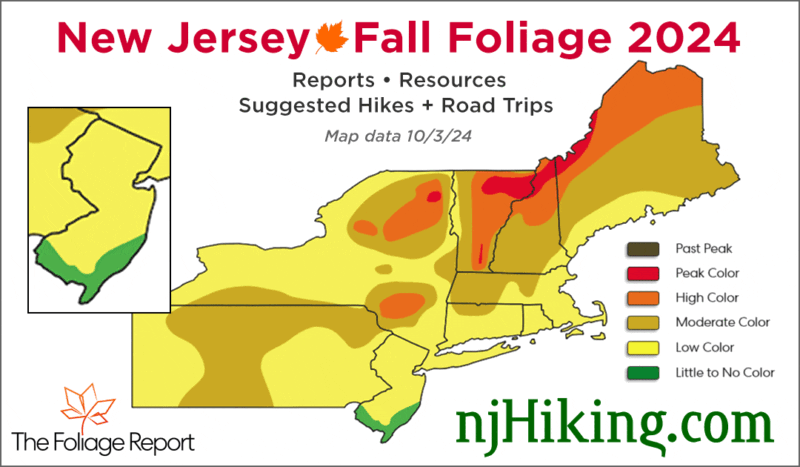 New Jersey Fall Foliage 2024 map graphic.