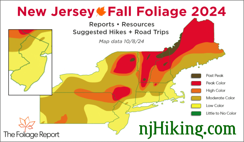 New Jersey Fall Foliage 2024 map graphic for 10/8/24.