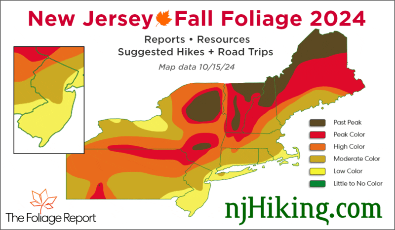 New Jersey Fall Foliage 2024 map graphic for 10/15/24.