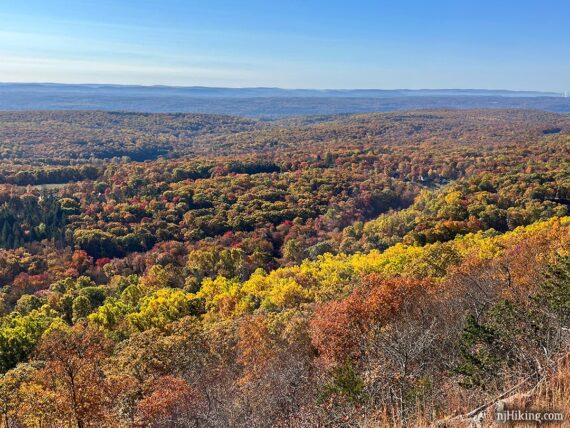 Colorful fall foliage in the valley below a ridge.