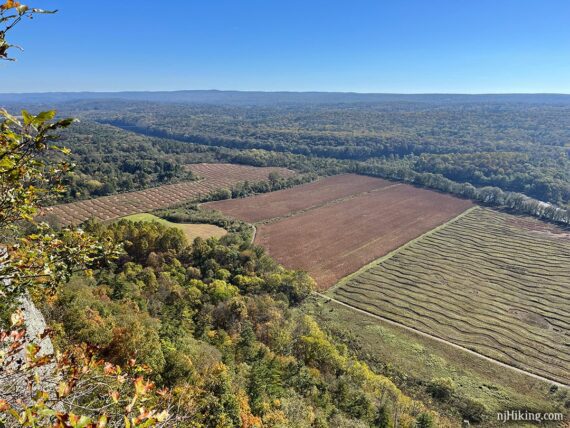 View of foliage from Cliff Park.