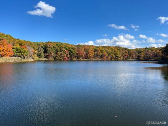 Hooks Creek Lake with bright foliage and green trees.