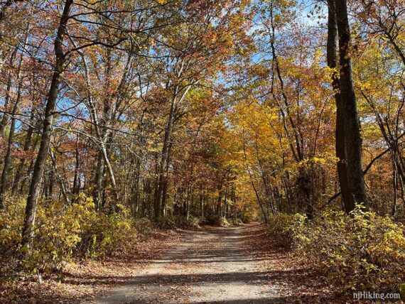 Perimeter trail at Manasquan Reservoir with fall foliage.