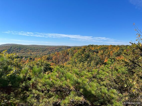 Overlooking fall foliage from the Manaticut Trail.