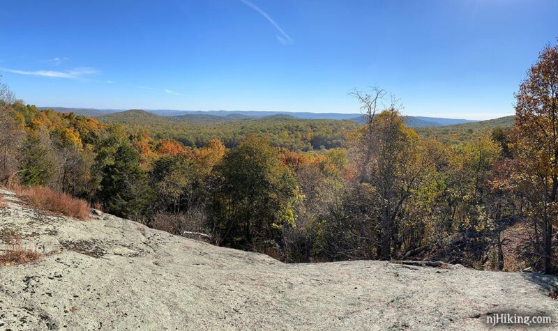 Panoramic view of foliage from Overlook Rock.