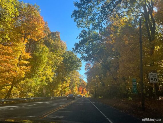 Bright fall color on Rt 206 in Chester, NJ.