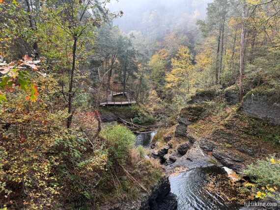 Raymondskill Falls ravine with fall foliage.