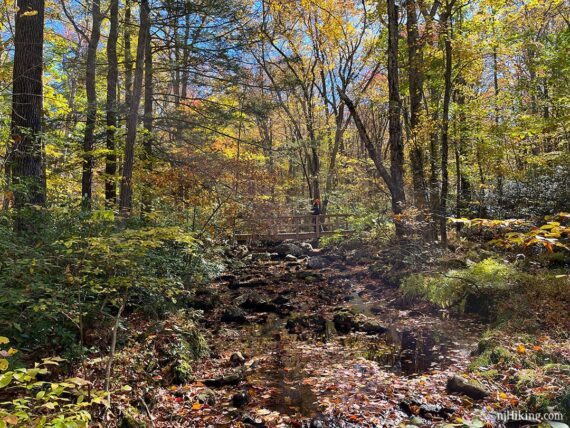 Fall foliage around a bridge on a trail.