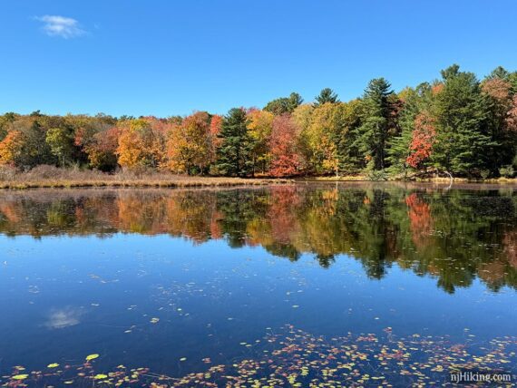 Fall foliage around Stony Lake.