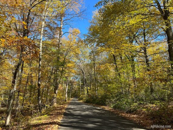 Sunrise Mountain Road.