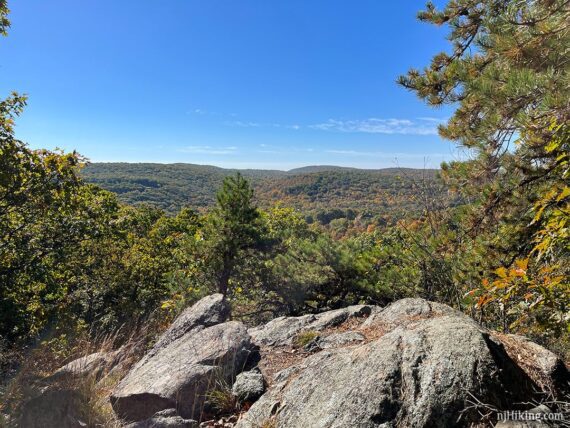 Hills with pine trees and rocks in the foreground.