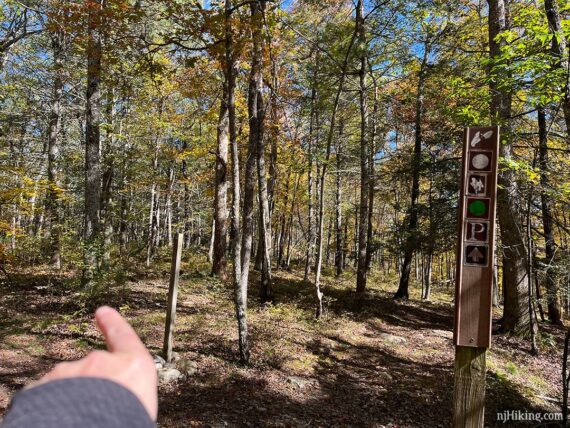 Trail intersection post and hiker pointing the way.